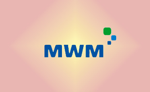 ✓ MWM 0403 1992 Запчасть MWM 